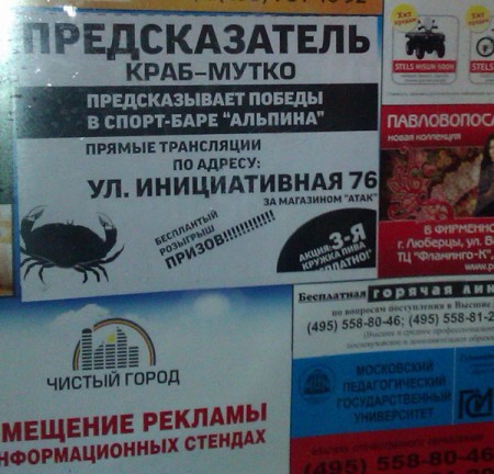 Краб Мутко Краб Мутко